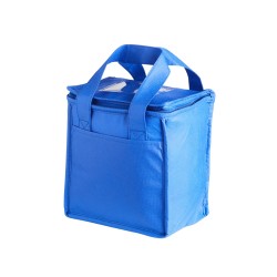 Bolsa Térmica 5 Litros Para Brindes Bolsa Térmica 5 Litros Para Brindes