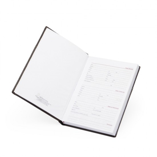 Agenda Diária 2025 Personalizada