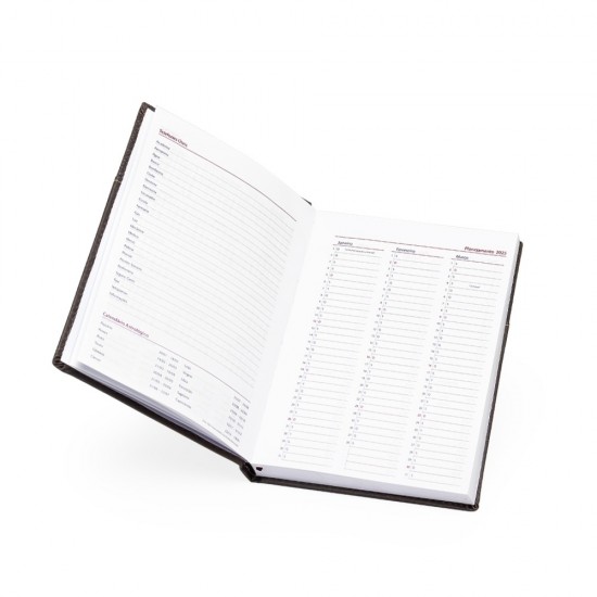 Agenda Diária 2025 Personalizada