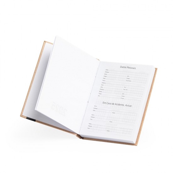 Agenda Diária 2025 Personalizada