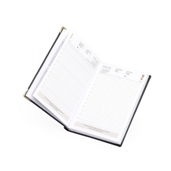 Agenda Diária 2025 Personalizada